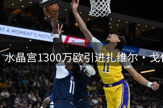 水晶宫1300万欧引进扎维尔·戈佐