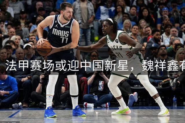 法甲赛场或迎中国新星，魏祥鑫有望接棒武磊